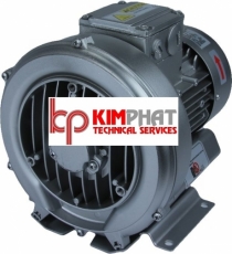 M&aacute;y thổi kh&iacute; con s&ograve; 50 m3/h